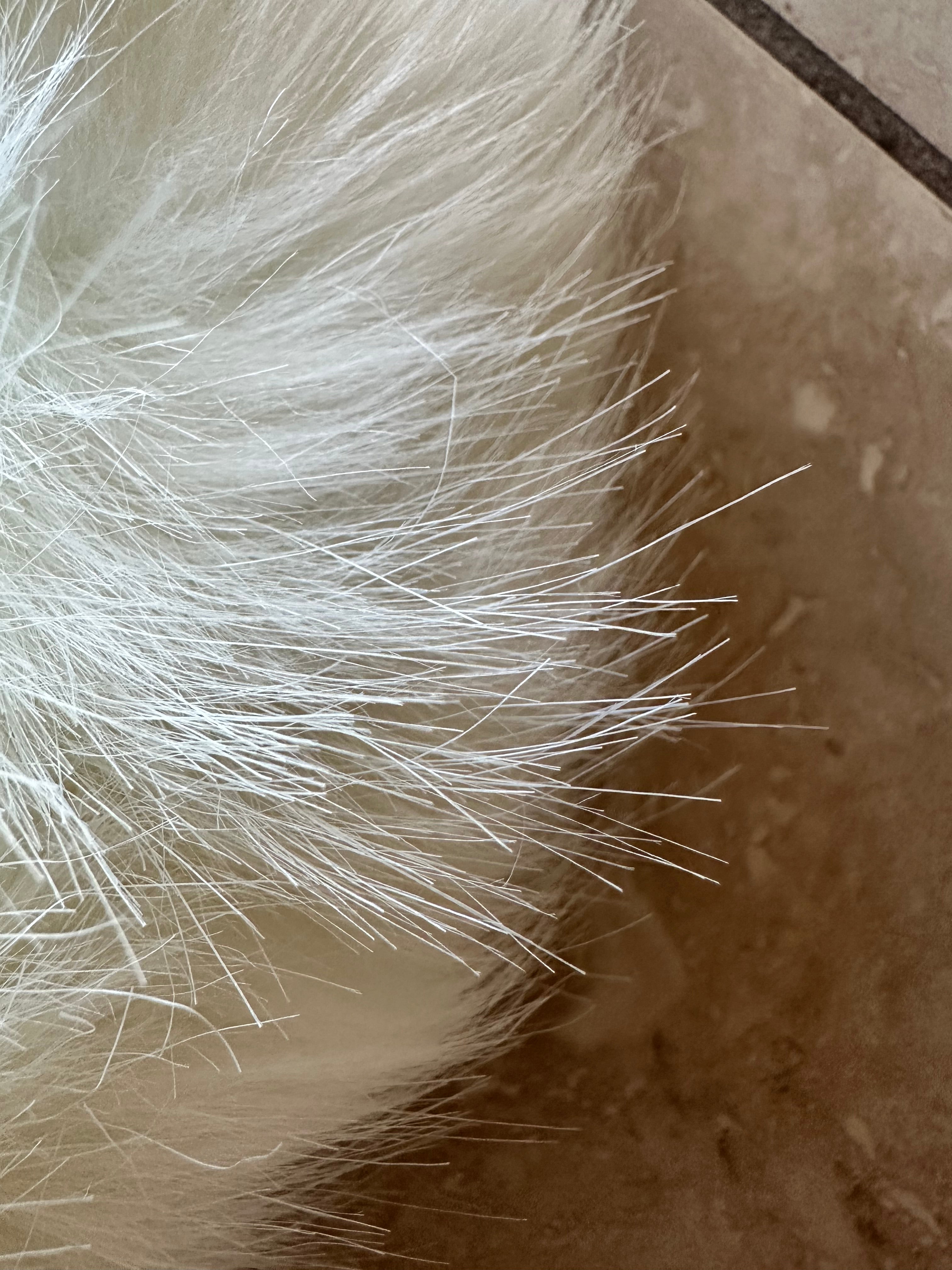 Faux Fur Skating Hat