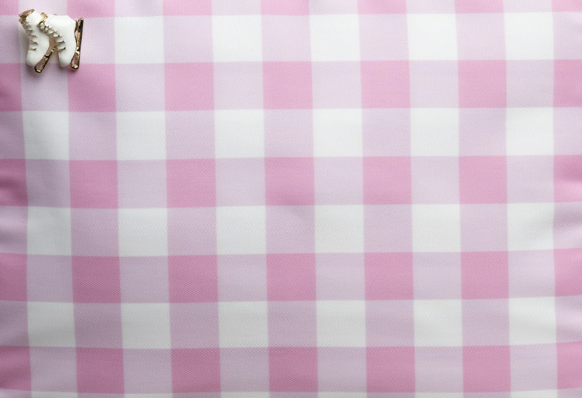 Gingham Skating Bag