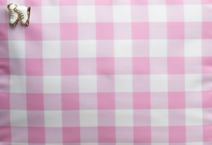 Gingham Skating Bag